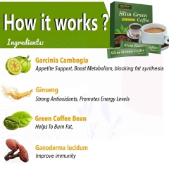 Winstown Slim Green Coffee Natural Herbs Products Private Label Diet Healthy Herbal Weight Loss Instant Ganoderma Coffee