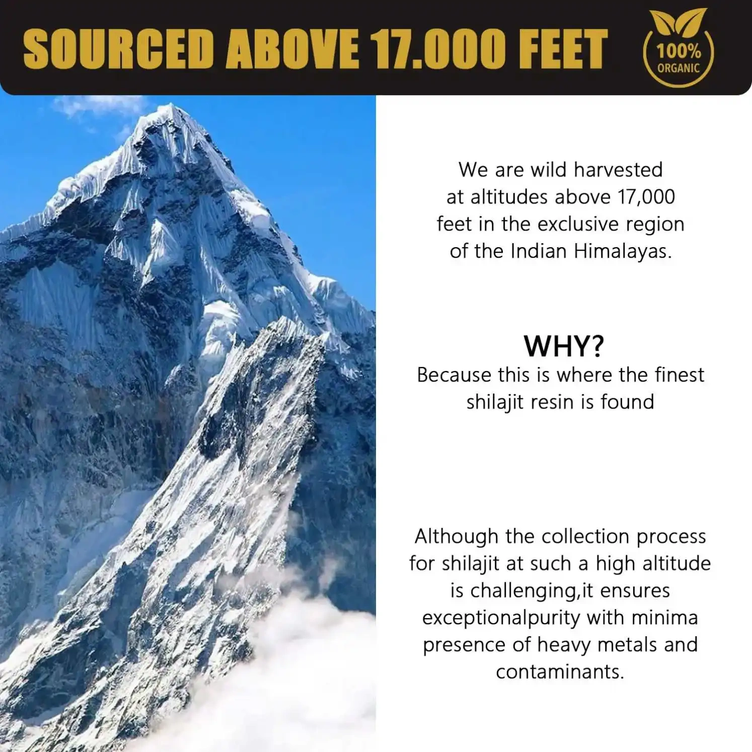 Hot Sale Shilajit 100% Natural Pure Himalayan Organic Shilajit Resin Potency Natural Organic Shilajit Resin Brain Supplement