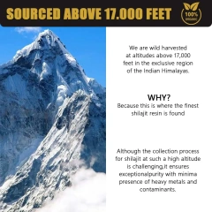 Hot Sale Shilajit 100% Natural Pure Himalayan Organic Shilajit Resin Potency Natural Organic Shilajit Resin Brain Supplement