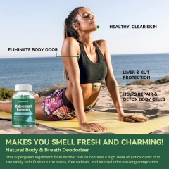 Lifeworth Halal Gummy Bear Candy Chlorophyll Powder Antioxidant for Adults