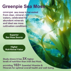 Greenpie Sea Moss Gummies Higher Nutritional Value Healthcare Supplement for Energy Support