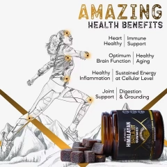 Shilajit Gummies Supplement Douzi Xara 3000 Honey 4000mg Winston Shilajit Gummies for Men Minerals Shilajit Gummies
