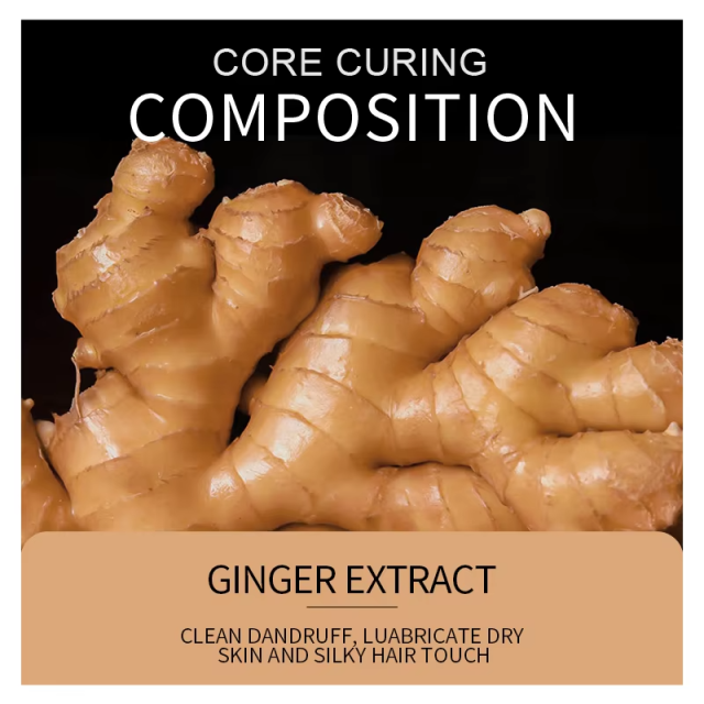 500ML Private Label Wholesale SADOER Smooth and Improves Dryness Ginger Shampoo for Hair