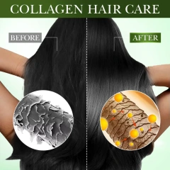 Wholesale Organic Natural Hair Care Deep Cleansing Avocado Moisturizing Anti Hair Loss Shampoo