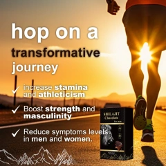 OEM Purest Himalayan Shilajit  Chocolate ,100% Pure Shilajit,Enhances Stamina &Athletic Performance,Shilajit Chocolate for Adult