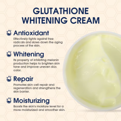 Japan Facial Cream Paraben-free Nourishing & Moisturizing and Niacinamide & Glutathione Retinol Face Cream for Skin Whitening