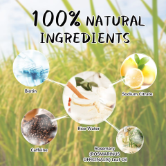 Private Label Prevent Hair Loss Stronger Hair Shampoo Pure Organic Sulphate Free Rice Water Hair Growth Shampoo