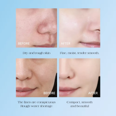 Wholesale Custom logo Korean Skin Care Products Face Cream & Lotion Anti-wrinkle Firming Collagen Facial Cream for Women Beauty