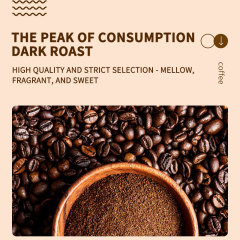 Direct Manufacturer OEM Bulk Supply Instant Mushroom Coffee Bags Rich Arabica Mocha Variety Fruit Chocolate Sugar Bitter Halal