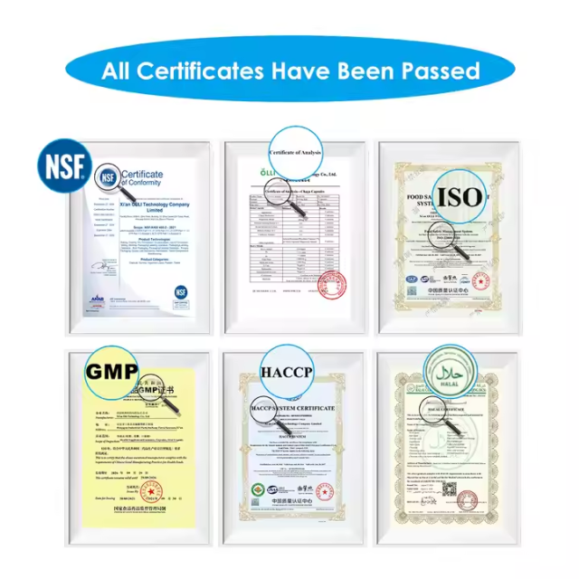 Shilajit Honey Sticks Private Label Nutrient boost Gummies Pack Sachets Other Healthcare Supplement Shilajit Honey Sticks