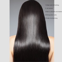 JOLYUM Ginger Silky Supple Shampoo Gentle Cleaning Oil Control Nourishes Scalp Ginger Shampoo 400ml Hair Growth Shampoo