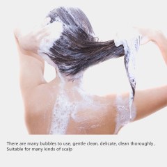 JOLYUM Ginger Silky Supple Shampoo Gentle Cleaning Oil Control Nourishes Scalp Ginger Shampoo 400ml Hair Growth Shampoo