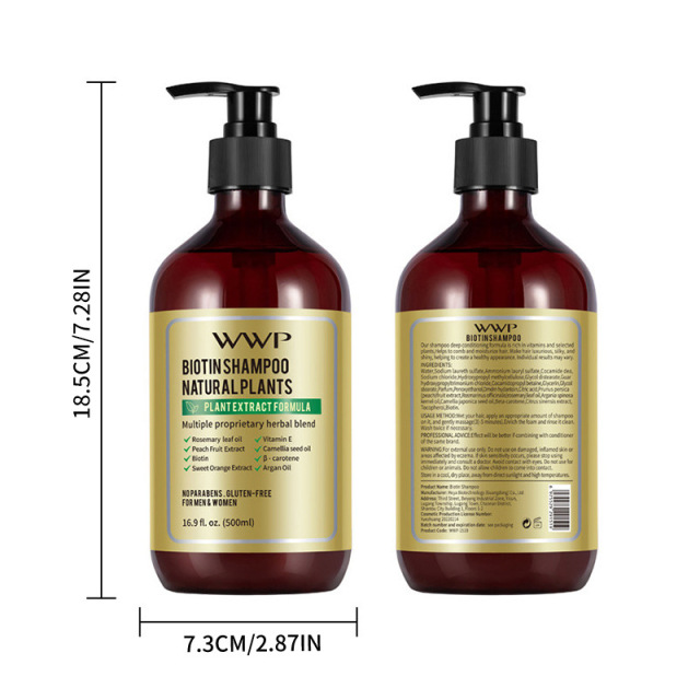 Superior Moisturization Natural Herbal Shampoo with Argan Oil Formula Biotin Hair Care Shampoo and Conditioner