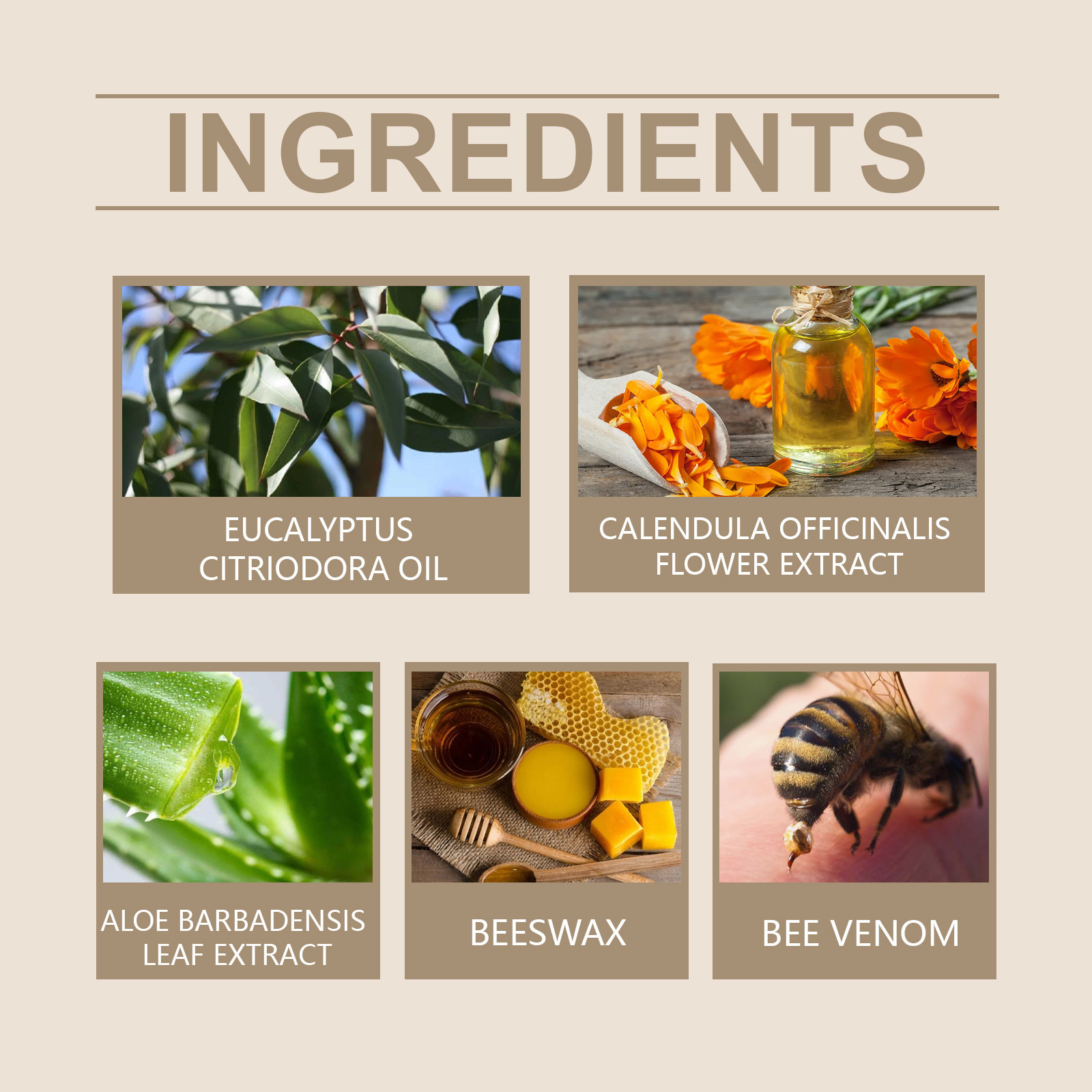Private Label Natural Skin Care Improves Dry Skin Moisturizes Body Face Scar Cream Bee Venom Cream