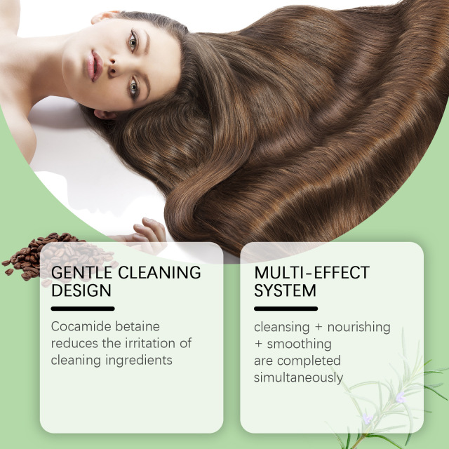 Private Logo Organic Rosemary Thickening Shampoo for Hair & Scalp Cleansing Refreshing Anti-Frizz Nourishing Hair Products