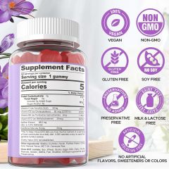 WELLBODY OEM/ODM Private Label Factory Supply Halal Natural Organic Saffron Extract Gummies with Rhodiola Rosea Extract