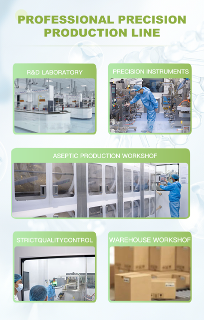 Wholesale Matcha Latte Supplier for Weight Loss Free Sample Collagen Green Tea Matcha Powder