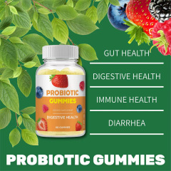 OEM Hot Selling Probiotic Gummies Vegan Natural Popular Digestive Support Gummies Digestive Health Dietary for Immune Health