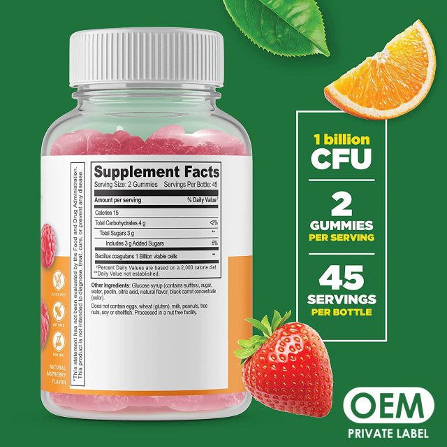 OEM Hot Selling Probiotic Gummies Vegan Natural Popular Digestive Support Gummies Digestive Health Dietary for Immune Health