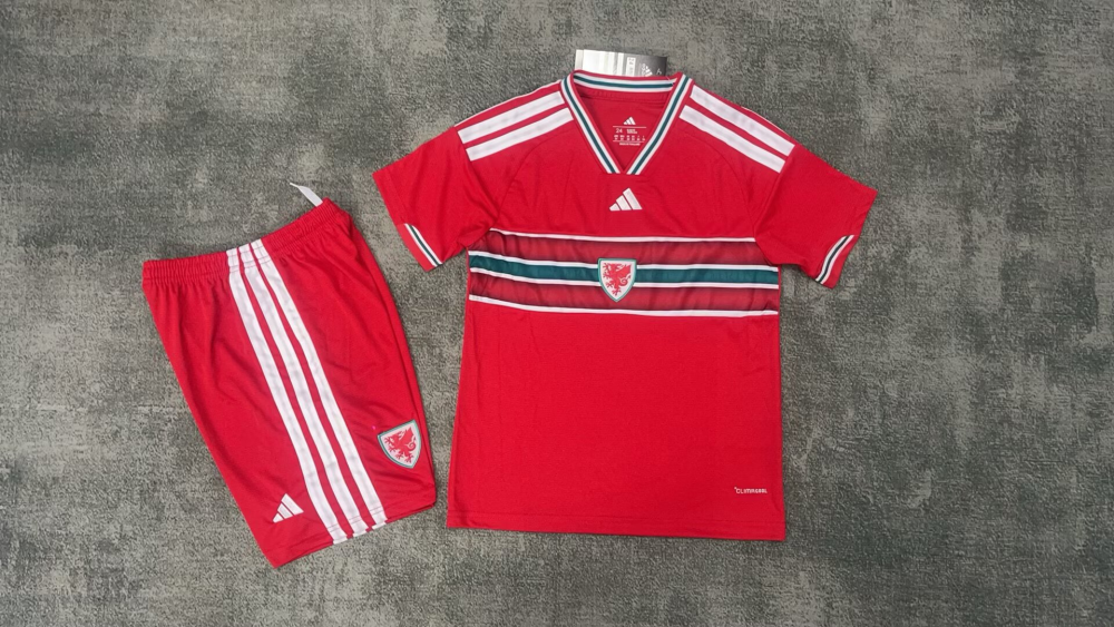 2026 Wales Home - Children's Clothing（2026威尔士主场 -童装）