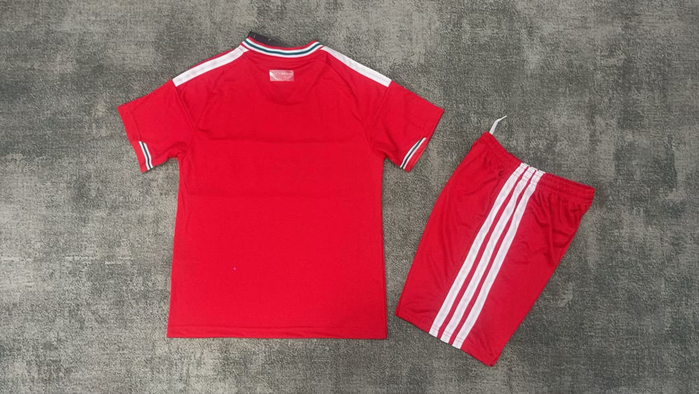2026 Wales Home - Children's Clothing（2026威尔士主场 -童装）