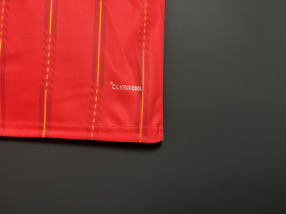 2026 Spain Home - Fan Edition（2026西班牙主场-球迷版）