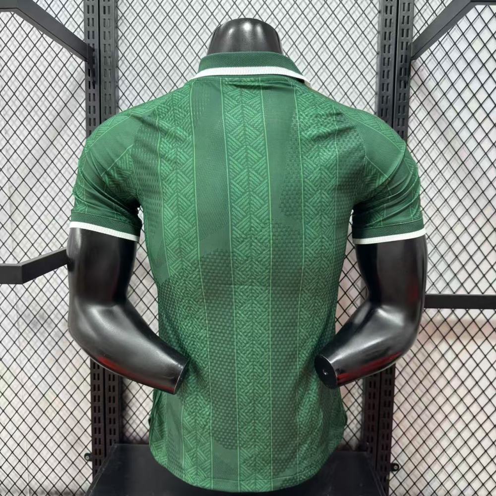 2026 World Cup South Africa away version player edition（2026世界杯南非客场-球员版）
