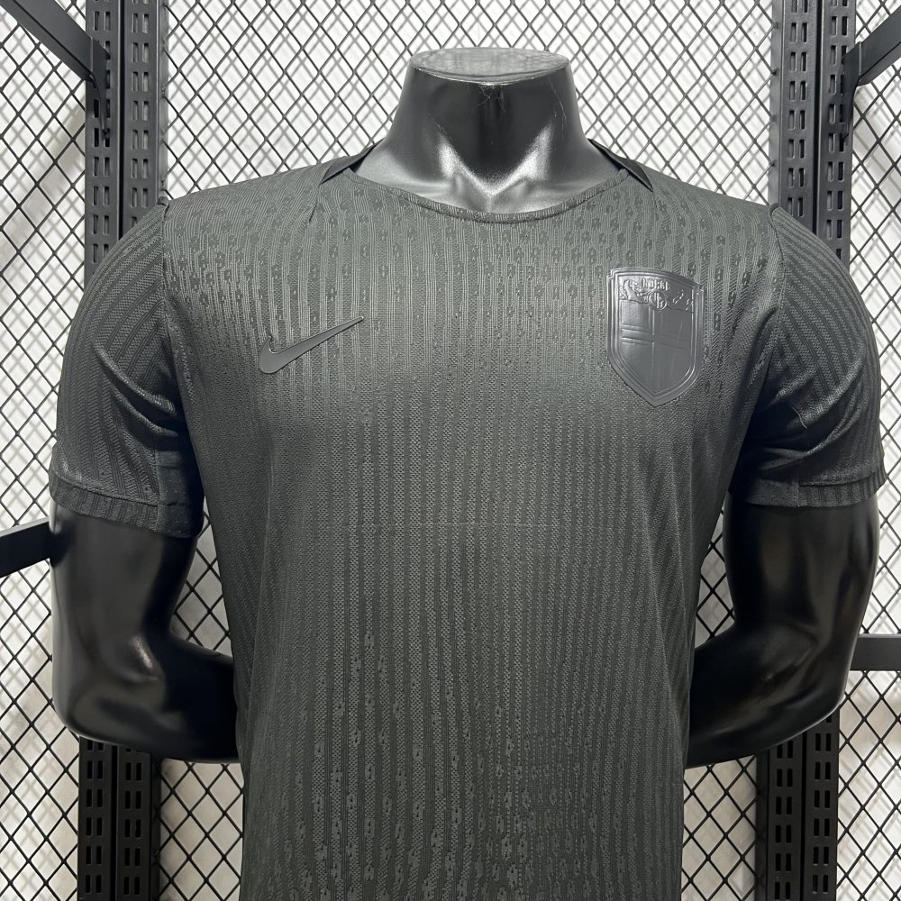 2026 World Cup Norway away Version Player Edition（2026世界杯挪威客场-球员版）