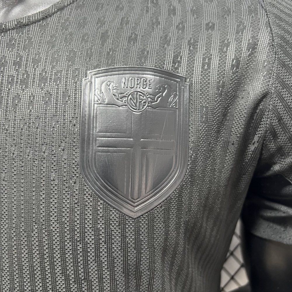 2026 World Cup Norway away Version Player Edition（2026世界杯挪威客场-球员版）