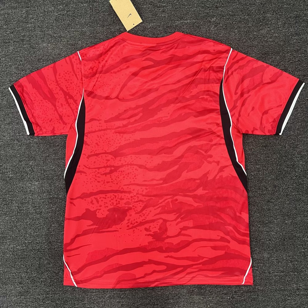 2026 Korea World Cup Home - Fan Edition（2026韩国世界杯主场-球迷版）