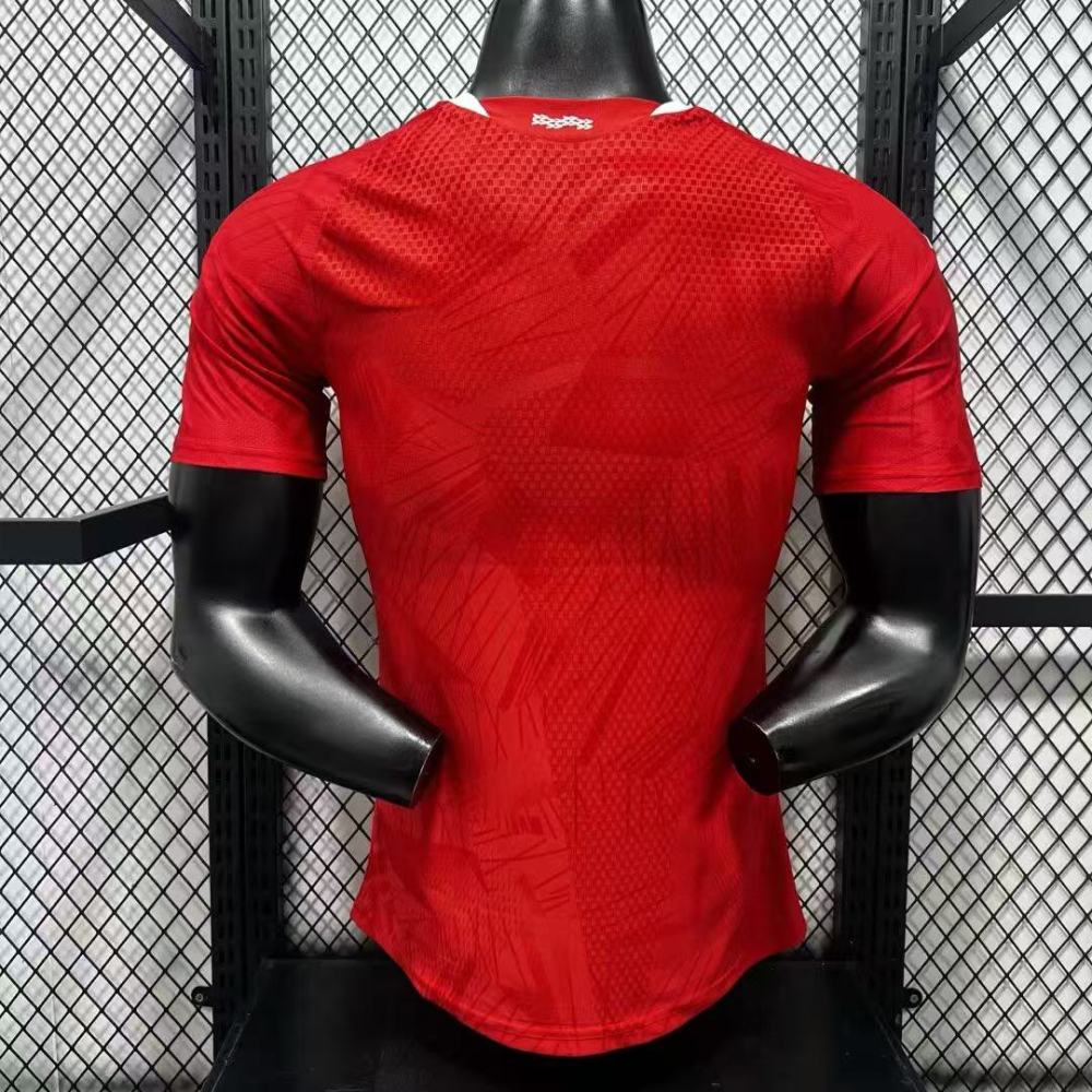 2627 Benfica home jersey - player version（2627本菲卡主场球衣-球员版）