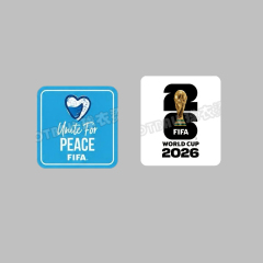 Group StageMatch3（第三场小组赛白章）