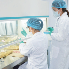 Laminar Flow Cabinet