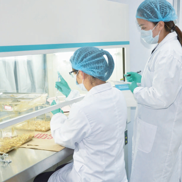 Laminar Flow Cabinet