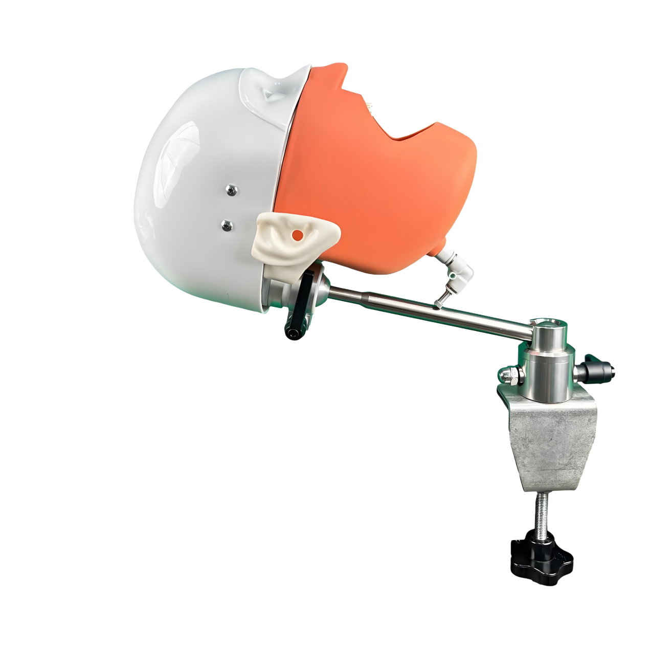Dental Phantom