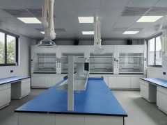 High Quality Metal Laboratory Countertops & Lab Tables Steel Lab Benches with Strong Alkali Resistance Modern Design