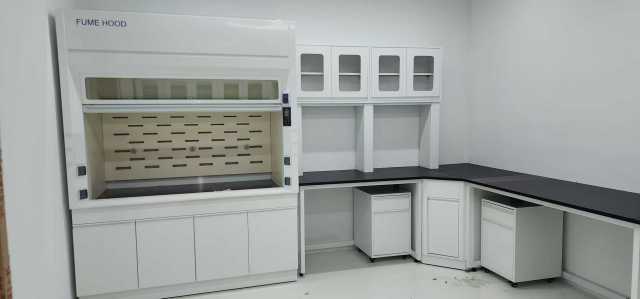 VitalLab OEM Modern Stainless Steel Corrosion-Resistant Epoxy Powder Coated Commercial Use Laboratory Furniture Fume Hood Lab