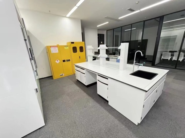 Customized Modern Metal Laboratory Furniture Lab Bench Medical Cabinet Workbench with C Frame and Stainless Steel Worktop