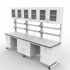 Easy Assembly Steel Laboratory Workbench Modern Design Pre-assembled Sections Lab Cabinet for Quick Setup Use Epoxy Powder