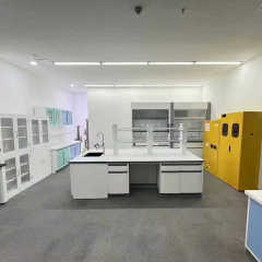 Customized Modern Metal Laboratory Furniture Lab Bench Medical Cabinet Workbench with C Frame and Stainless Steel Worktop