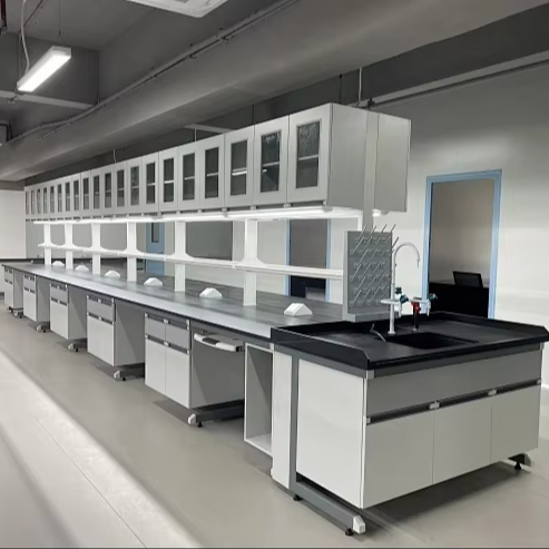 Modern Metal Lab Cabinet LED Light Epoxy Powder Coated Finish Lab Island Bench Water Sink for Hospital Dental University Use