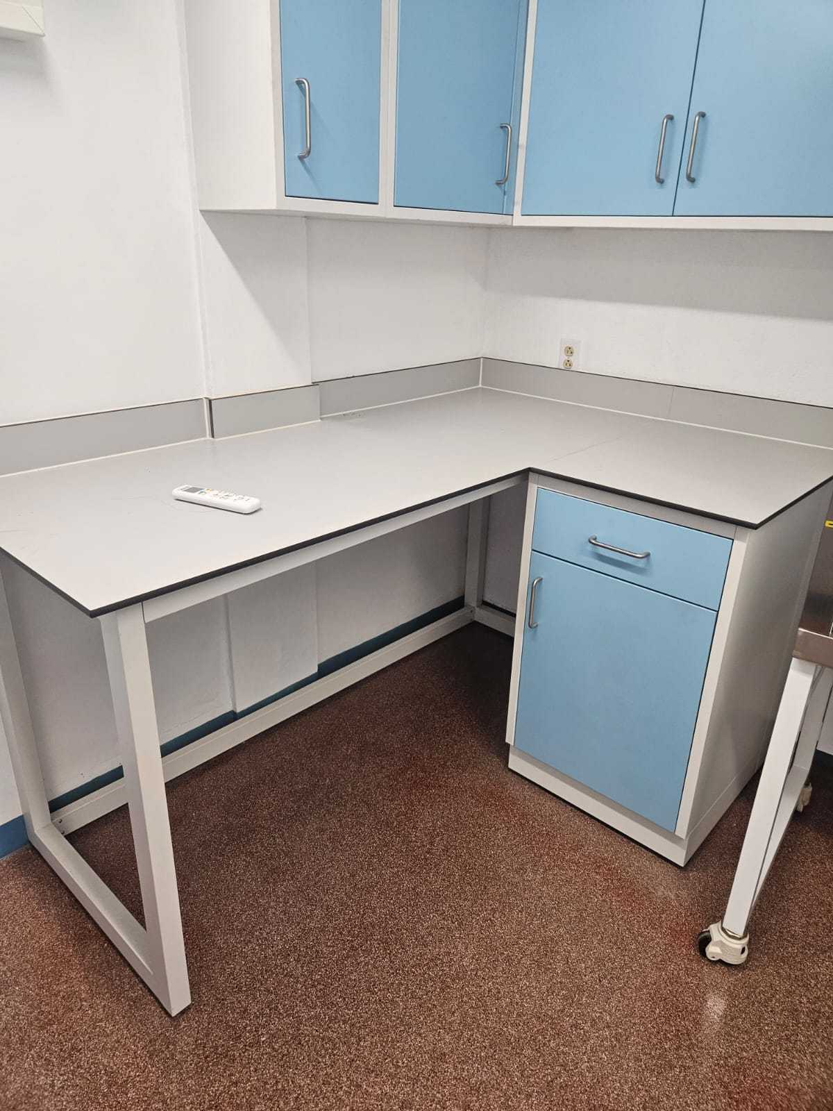 Pharmacy Laboratory Modern Metal Lab Table with Cabinet Storage Laboratory Workbench
