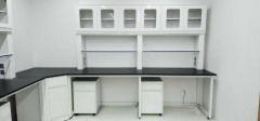 VitalLab OEM Modern Stainless Steel Corrosion-Resistant Epoxy Powder Coated Commercial Use Laboratory Furniture Fume Hood Lab