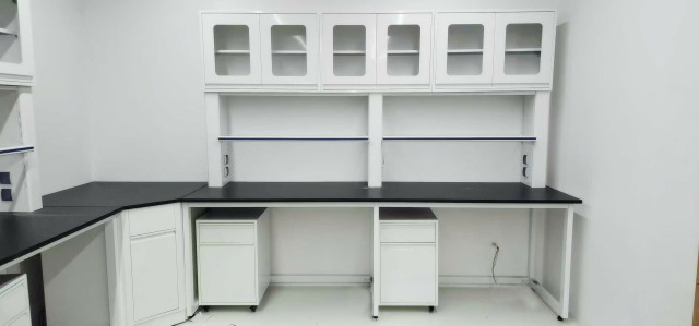 VitalLab OEM Modern Stainless Steel Corrosion-Resistant Epoxy Powder Coated Commercial Use Laboratory Furniture Fume Hood Lab