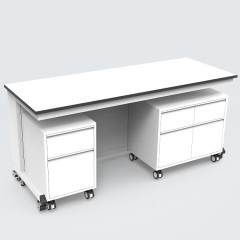 Customized Color C Frame Lab Workstation With Wheel for School Use