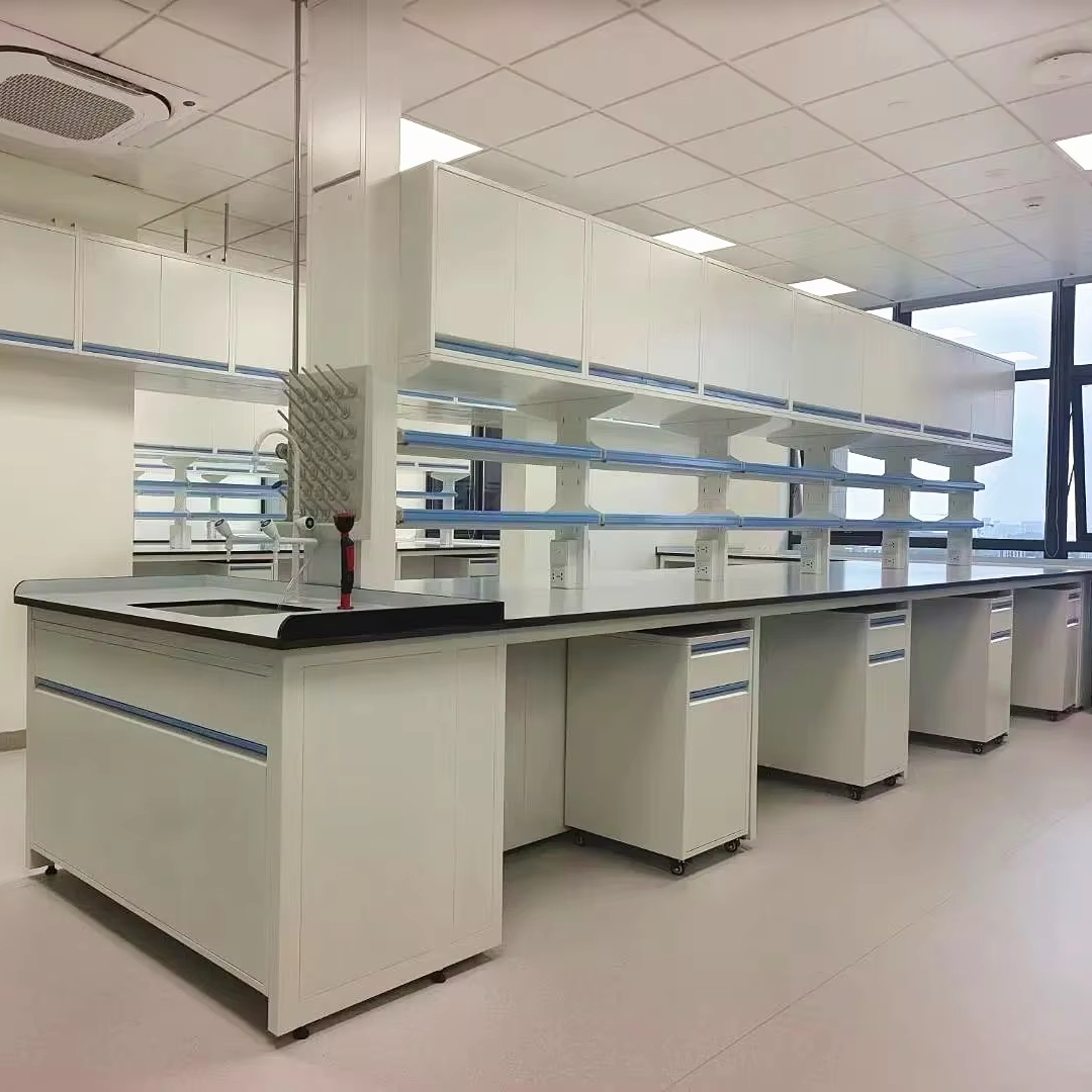 Customized Lab Benches With Reagent Shelf Lab Workstation With Water Sink and Upper Cupboard