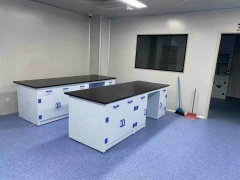 Strong Acid and Alkali Resistance and Anti-corrosion Polypropylene (PP) Laboratory Benches High-Resistance PP Wall Benches