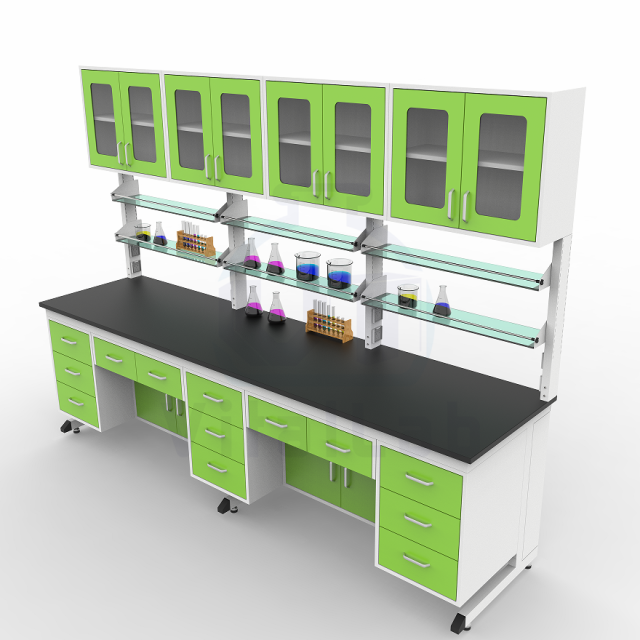 Laboratory Workbench with Cupboard Steel Frame Storage Lab Table