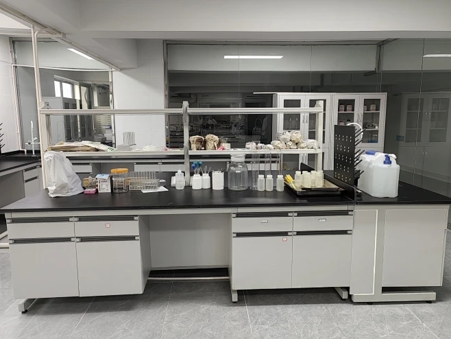 Adjustable Height Lab Bench Ergonomic Steel Frame Laboratory Workbench with Light