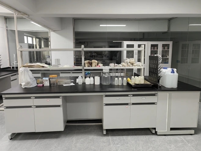 Modern Metal Lab Cabinet LED Light Epoxy Powder Coated Finish Lab Island Bench Water Sink for Hospital Dental University Use